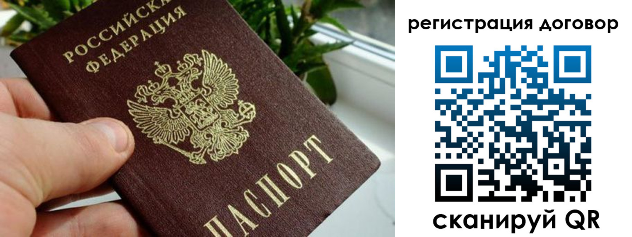 прописка ребенка в Новозыбкове